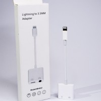 2 In 1 Lightning Adapter And Charger